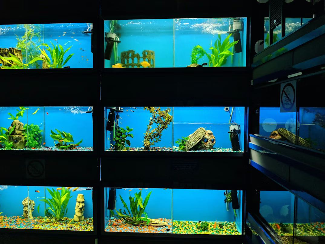 aquarium substrate 