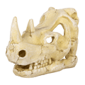 Wacool Rhino Skull Hide Cave