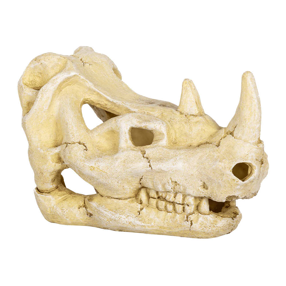 Wacool Rhino Skull Hide Cave