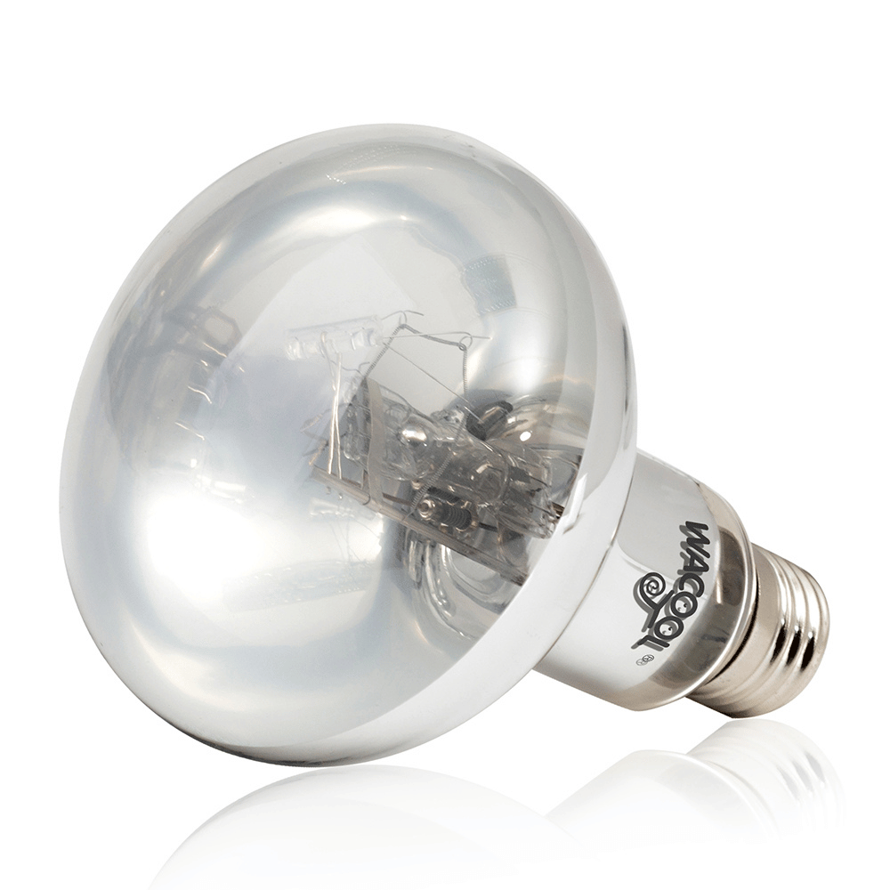 Wacool All in One UV Light Heat Mercury Vapor Lamp 75W