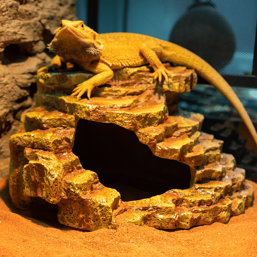 Wacool 3-in-1 Desert Corner Hide Cave L
