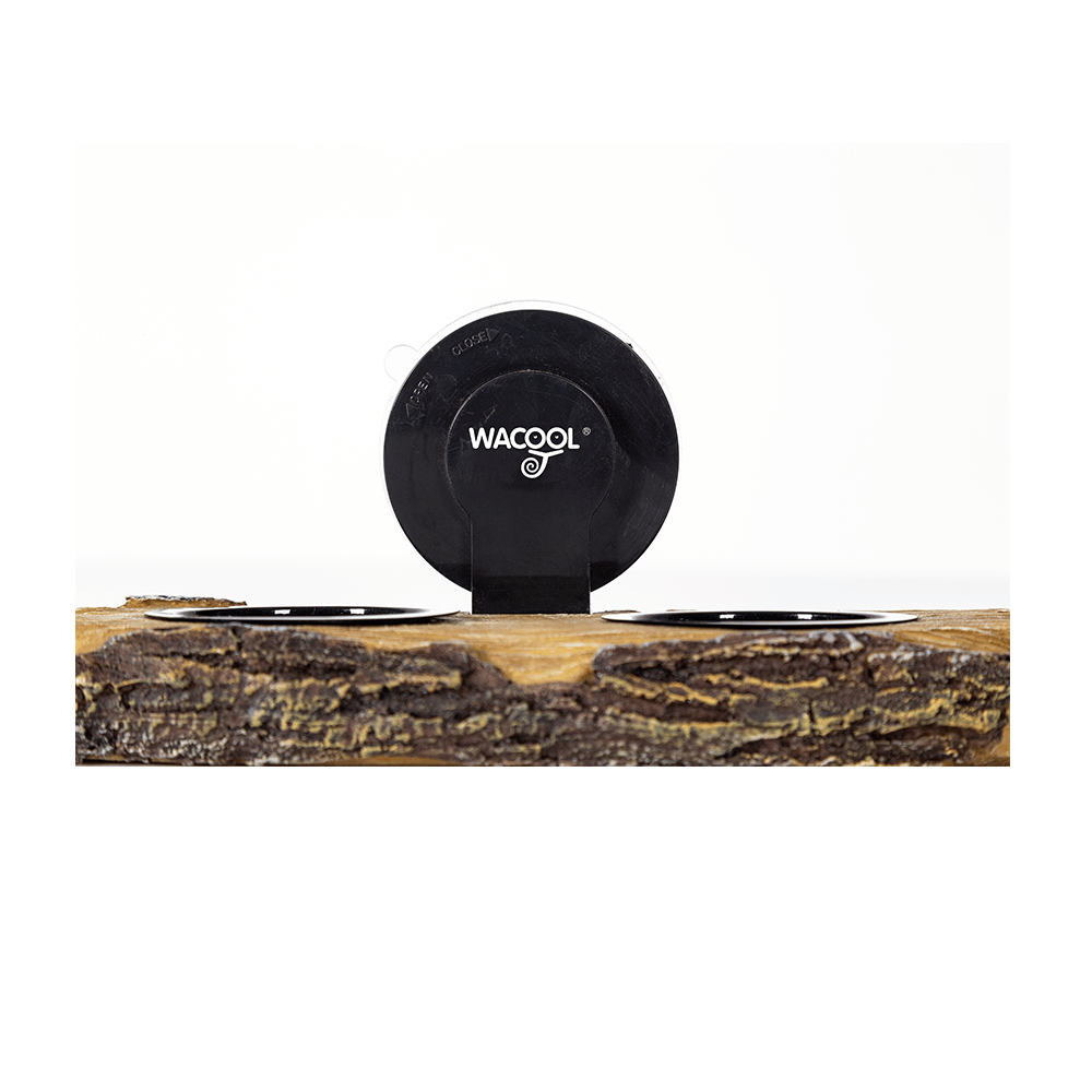 Wacool 2 in 1 Turtle Ramp and Arboreal Feeders