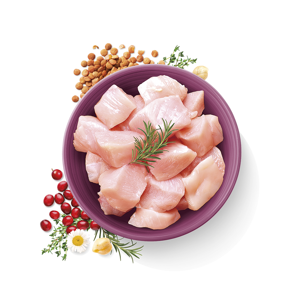 Carnilove True Fresh Chicken for Adult Cats 1.8kg