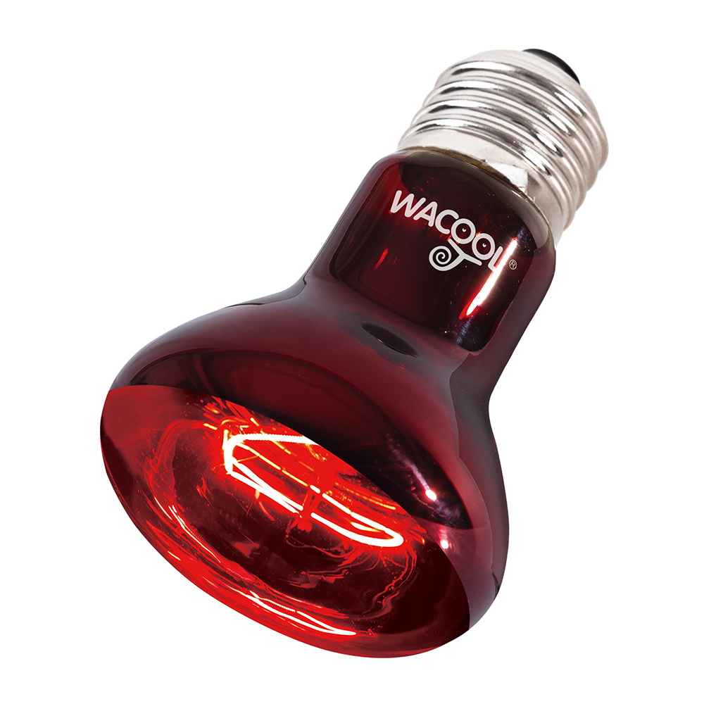 Wacool Infrared Heat Spot Lamp 50W