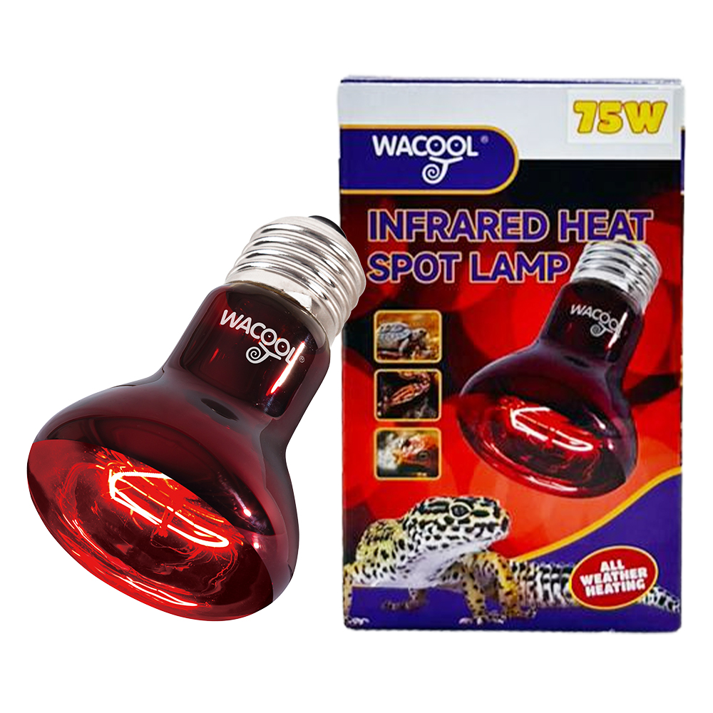 Wacool Infrared Heat Spot Lamp  75W