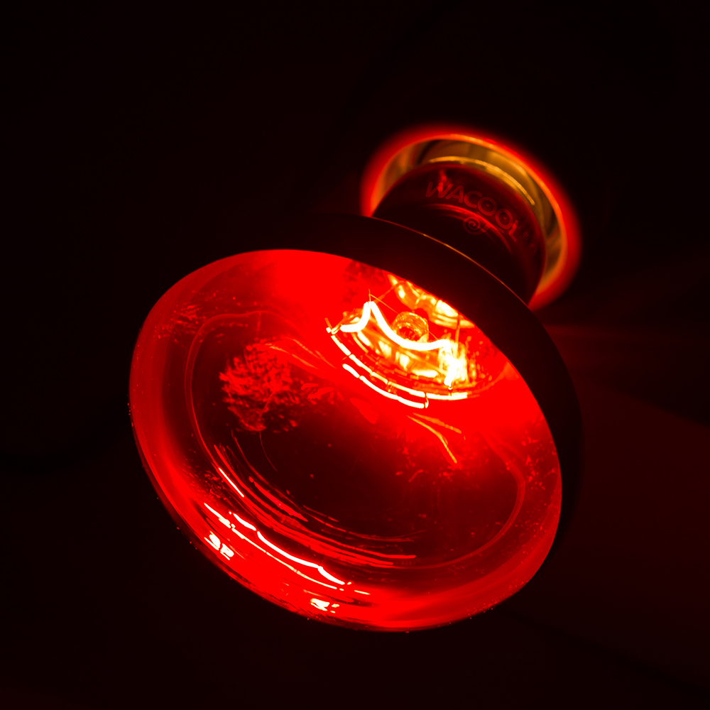 Wacool Infrared Heat Spot Lamp 100W