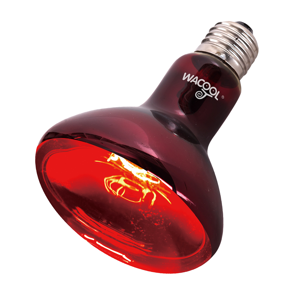 Wacool Infrared Heat Spot Lamp 150W