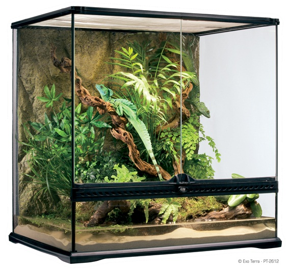 Exo Terra Natural Terrarium Medium/Tall 60x45x60 cm