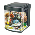 Boyu Marine Aquarium-520Lx580Wx630Hmm[HS-62]-Without Cabinet-128L